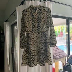 Leopard print J Crew Mercantile  (J Crew Factory)